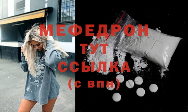 дмт Пересвет