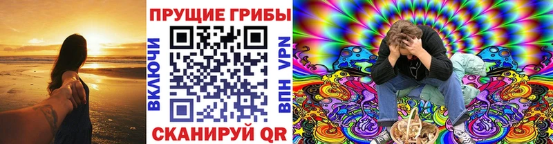 Псилоцибиновые грибы Psilocybine cubensis  дарнет шоп  гидра сайт  Хилок 