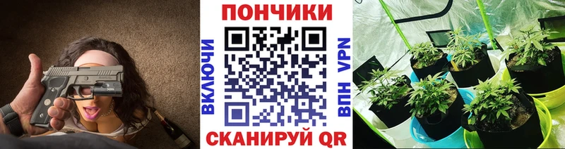 МЕГА вход  Хилок  Бошки марихуана гибрид 